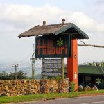 Hillburi