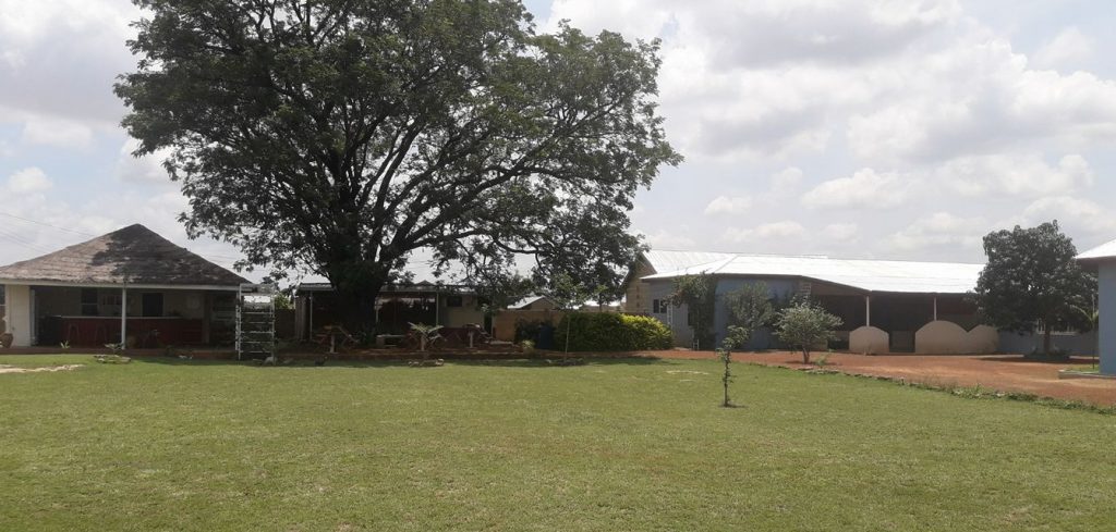 Dawadawa Lodge